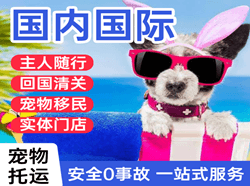 海拉尔机场邮寄国际宠物托运 【国